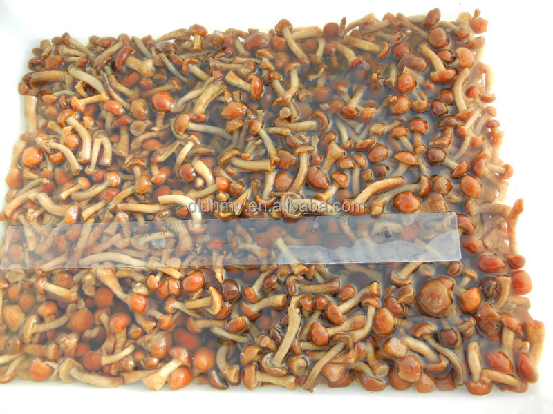 market prices for mushroom canned nameko mushrooms in brine in boiled