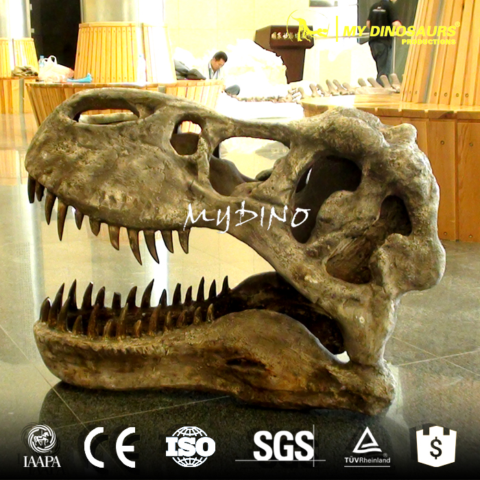 T-Rex Skull.jpg