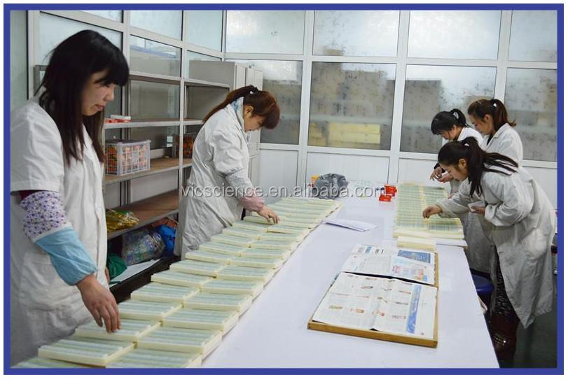 医療parasitology50個準備されたスライドセット問屋・仕入れ・卸・卸売り