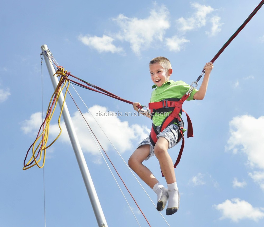 eurobungy2.jpg