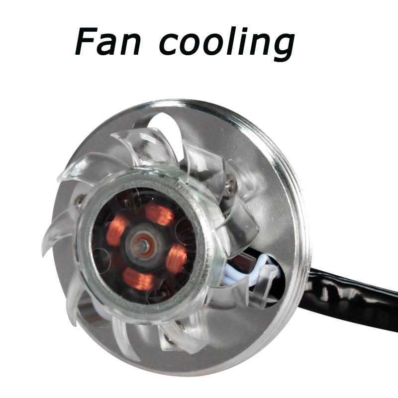 fan