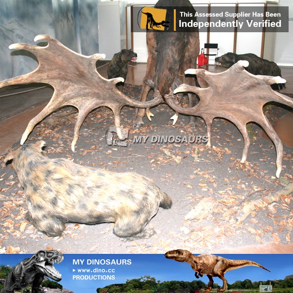 37.jpg