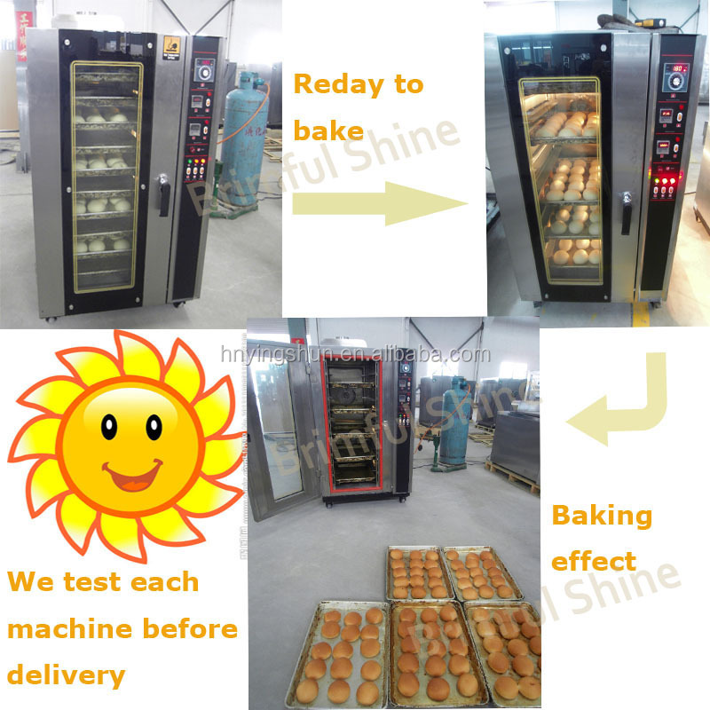 10 trays steam function gas convection oven