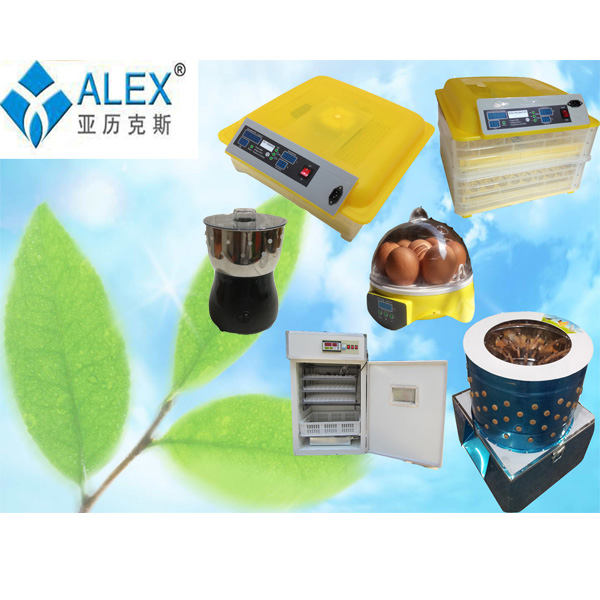 Frozen chicken high quality feet price stainless steel chicken duck plucker automatic chicken plucker AP-1