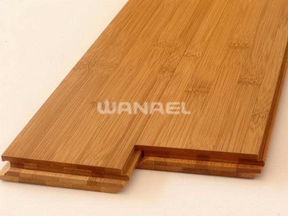 Bamboo Floor1 (4)