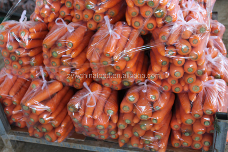 2014 New Corp Fresh Bulk Carrot