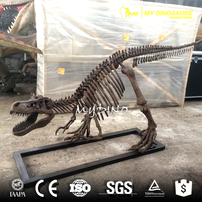 T-REX skeleton2.jpg