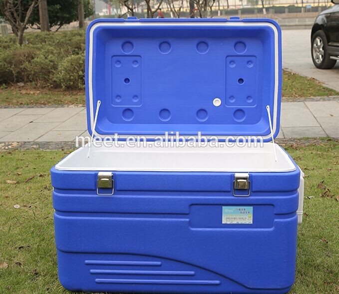 large picnic cooler