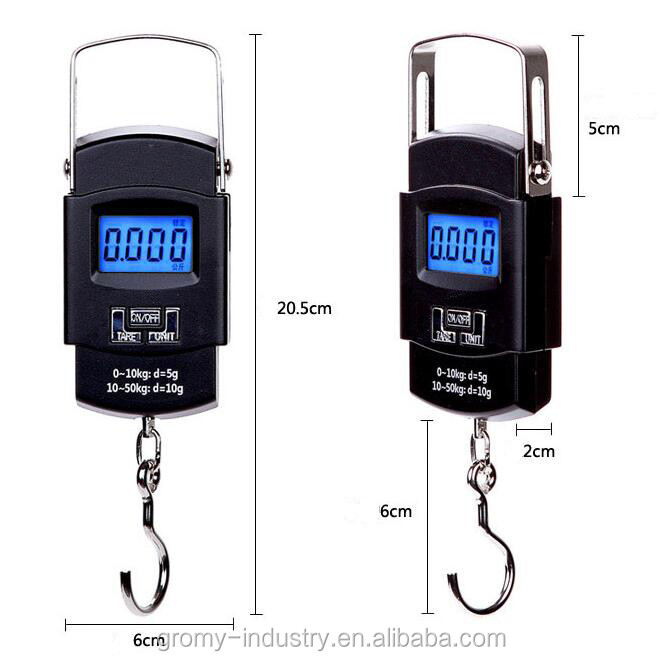 Digital Scale 50 Kg/10g Weigh Scale Portable Luggage Hanging Scale - China  Travel Scale, Mini Digital Luggage Scale