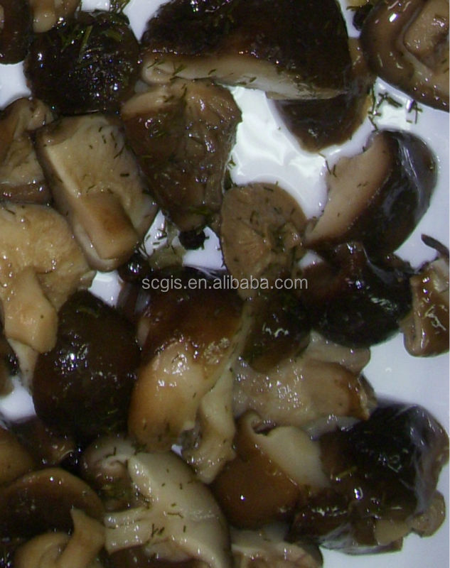 Chinese low price slice mushroom in tin 800g