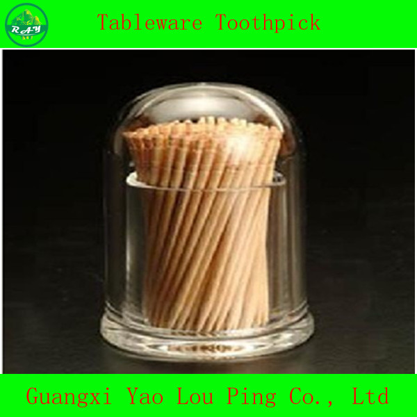 flat toothpicks bulk