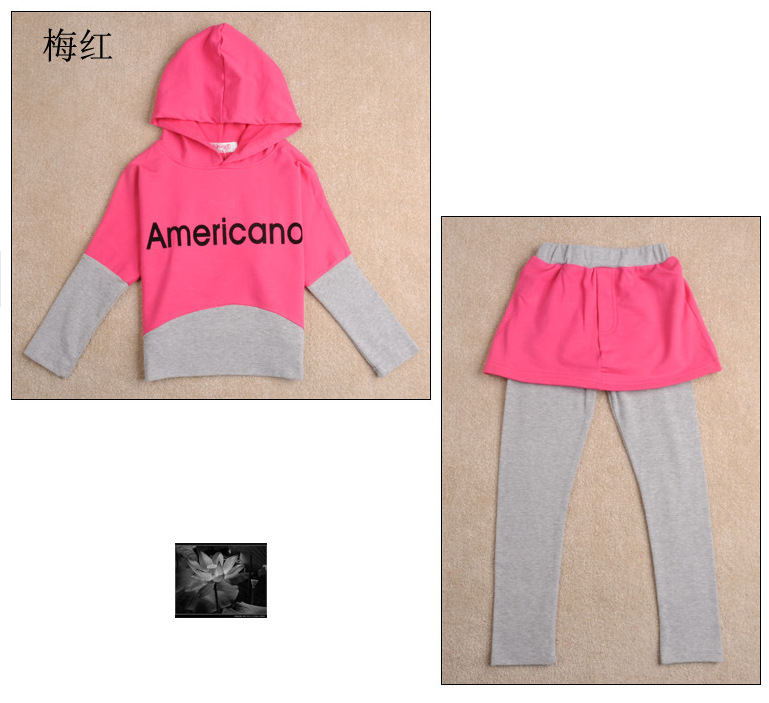 新しい女の子のパーカーのドレス2015空白カスタムptint自分のロゴのあるあなたのデザインパーカー仕入れ・メーカー・工場