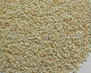 peanuts baking machine/ beans roaster