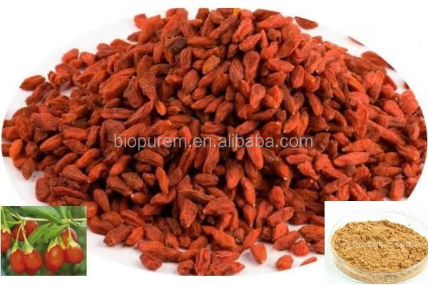 Organic Goji berry extract powder