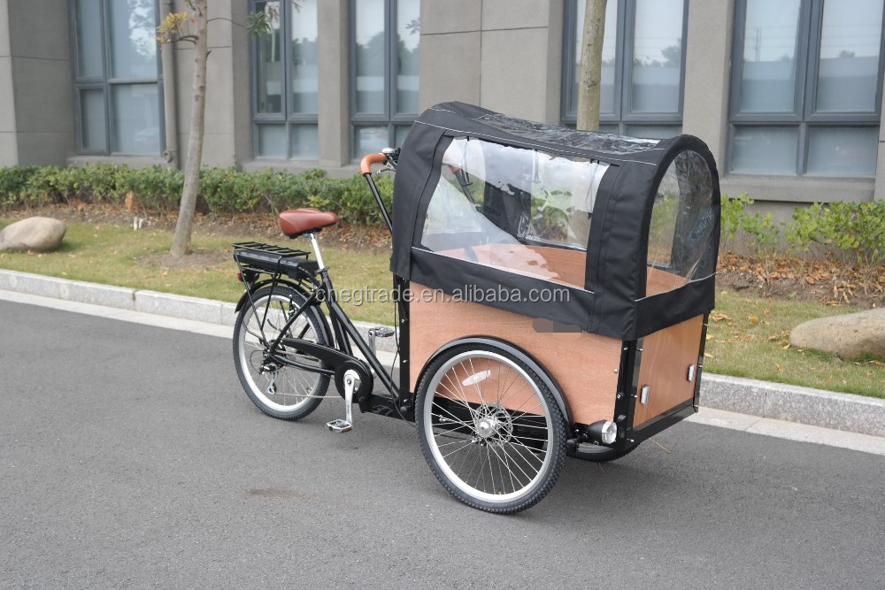 electric cargo bike .jpg