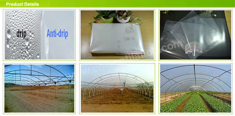 農業温室プロジェクト激安業務用低コスト温室問屋・仕入れ・卸・卸売り