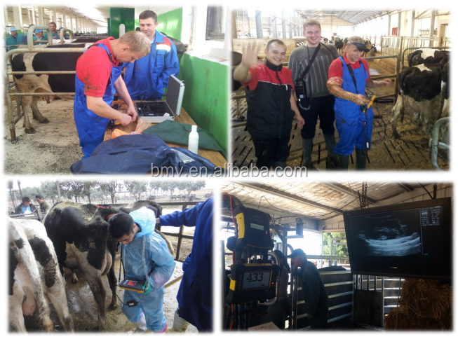 Veterinary ultrasound L60 8.png