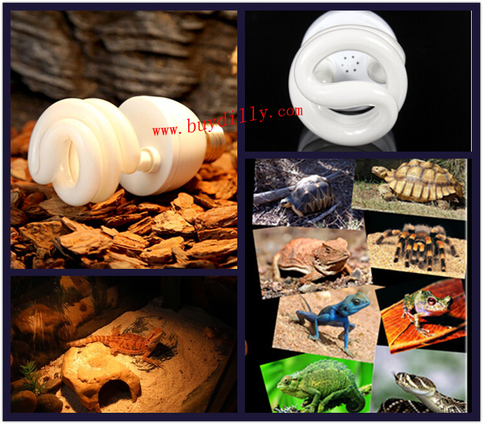 爬虫類uv電球コンパクト5.0uvb爬虫類テラリウムビバリウム問屋・仕入れ・卸・卸売り