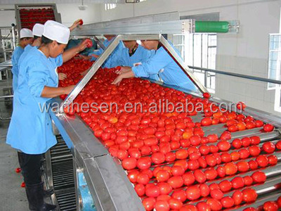 tomato ketchup specification