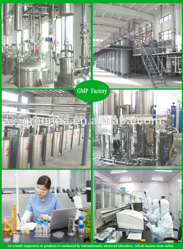 Green Tea Extract Powder EGCG, Catechins