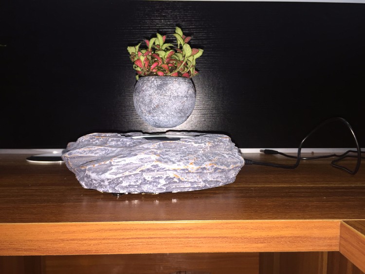 Levitating bonsai air tree indoor with green plants (12).JPG