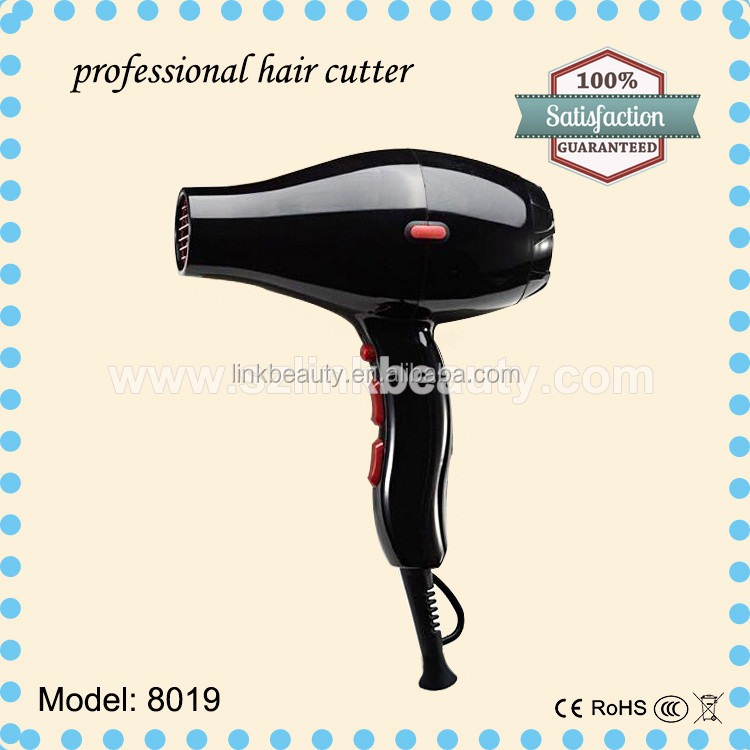 Salon Professional Hair Dryer - Buy Hair Dryer,Professional Hair Dryer ...