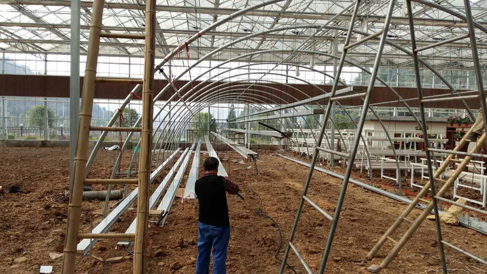 Tunnel Greenhouse for Agriculture