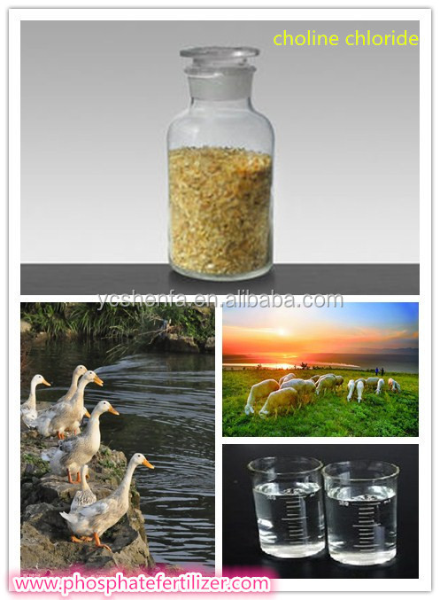choline chloride12