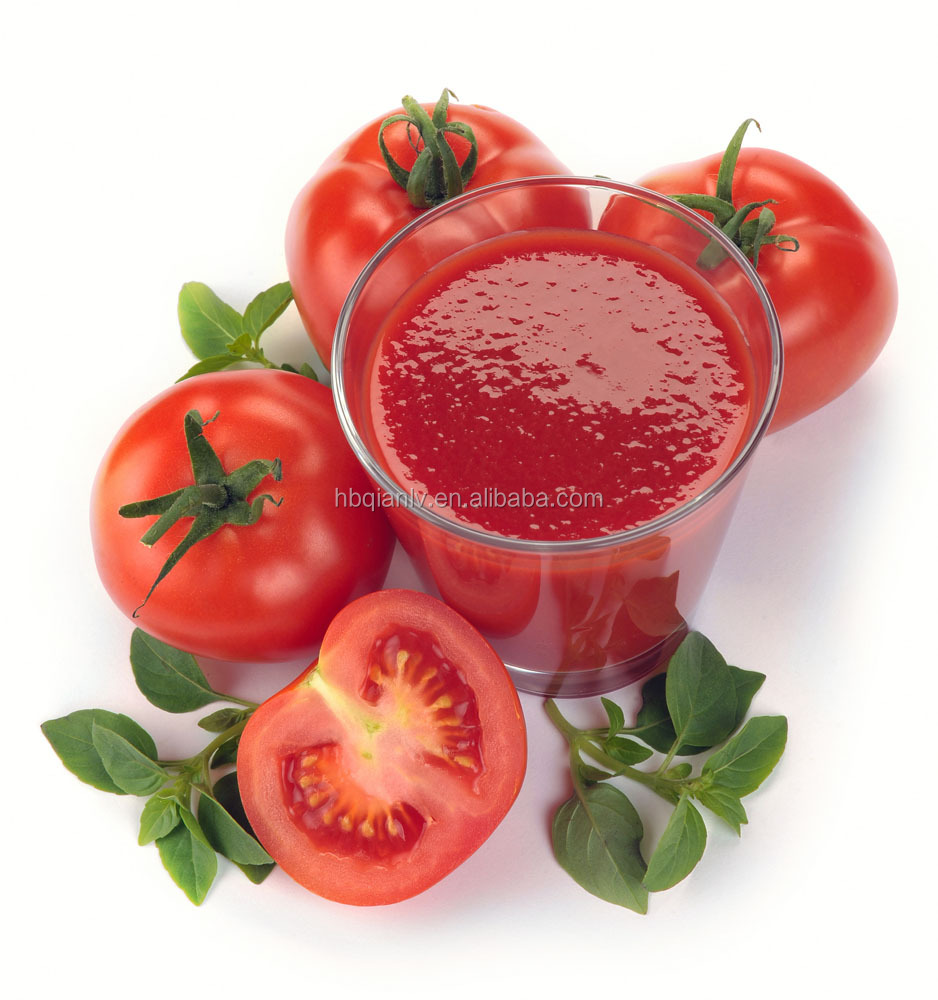 Tomato Paste & ketchup & tomato sauce&China&Bulk&bag&Tin
