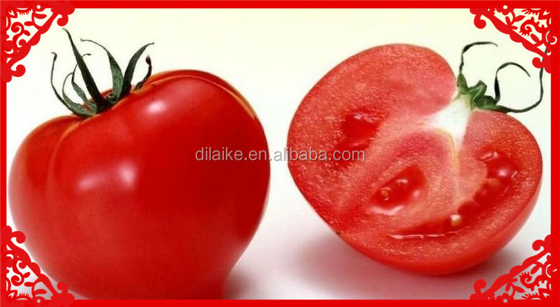 2014 tomato paste