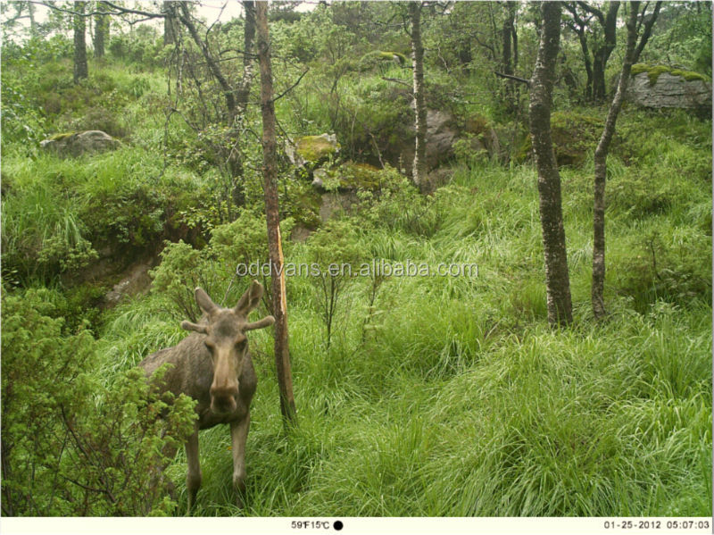 トレイルカメラメイジ12.036のledピクセルの狩猟カメラ野生動物カメラ問屋・仕入れ・卸・卸売り