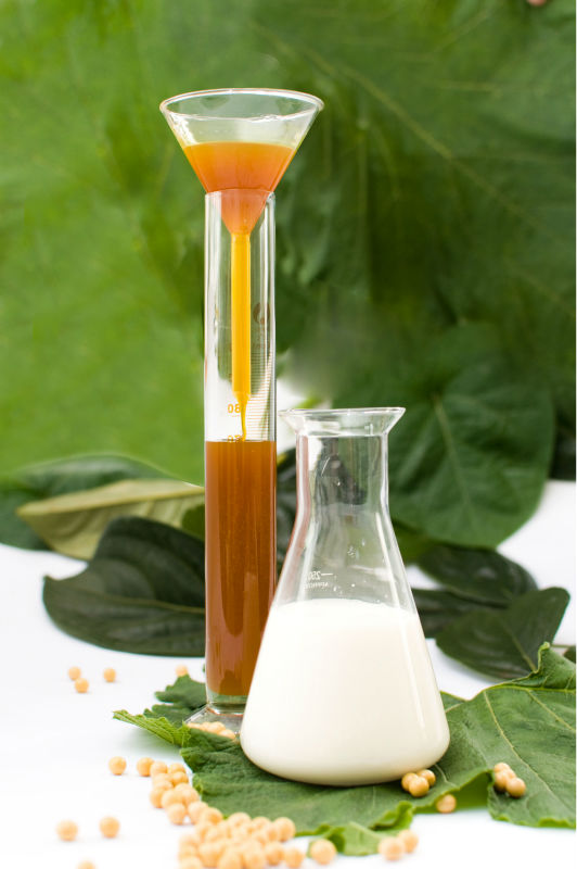 HYDROGENATED SOYA LECITHIN