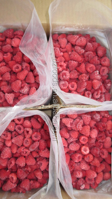 raspberry pi