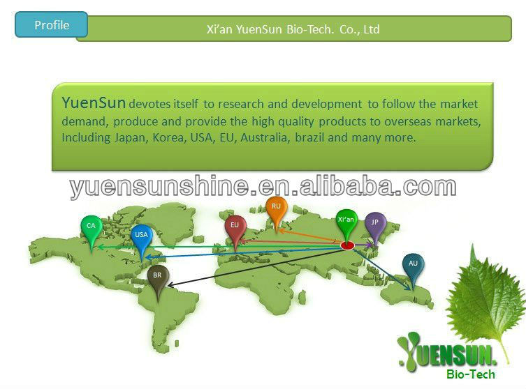 Tea polyphenol instant green tea extract powder