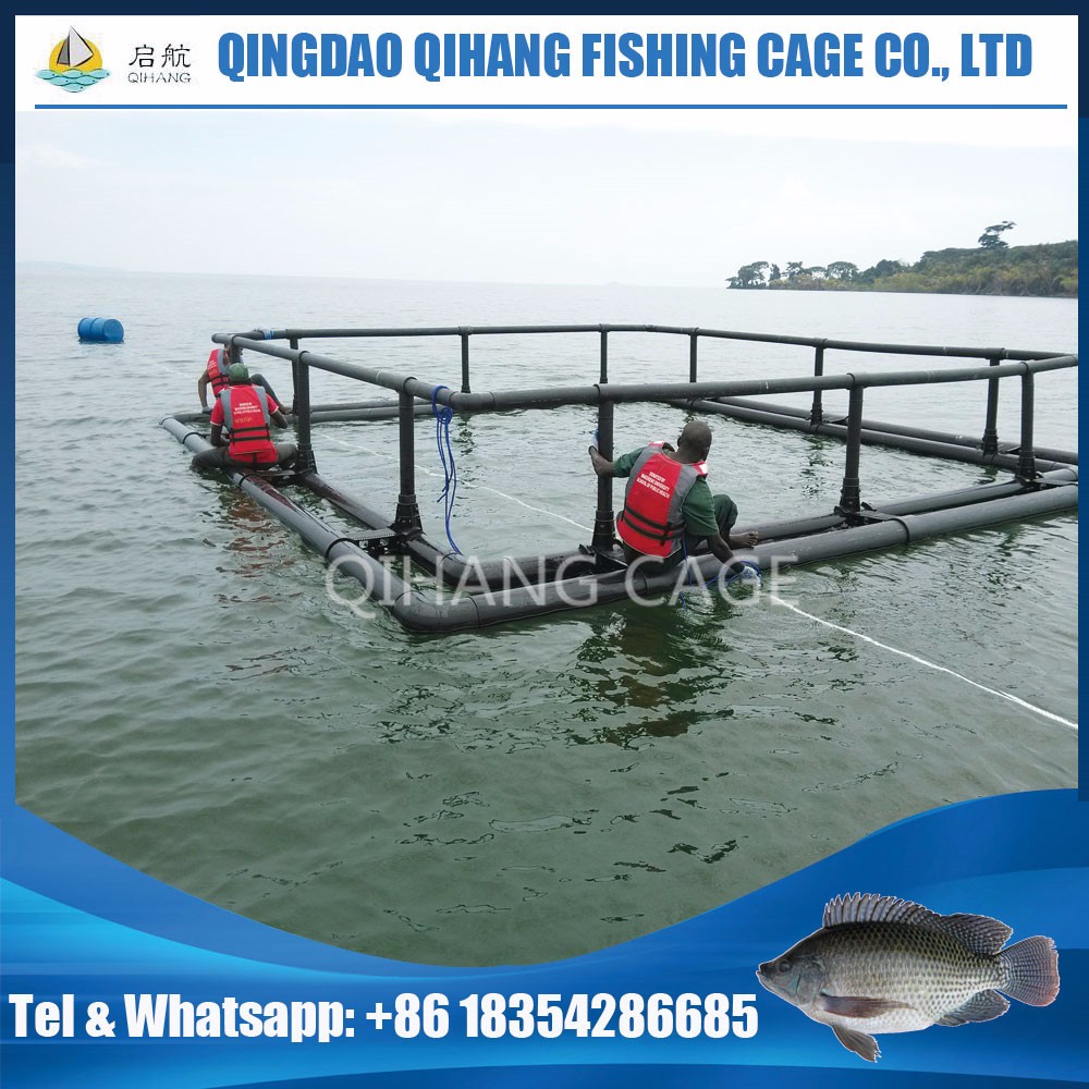 Tilapia/catfish Fish Farming Cage System,Square Floating Cage