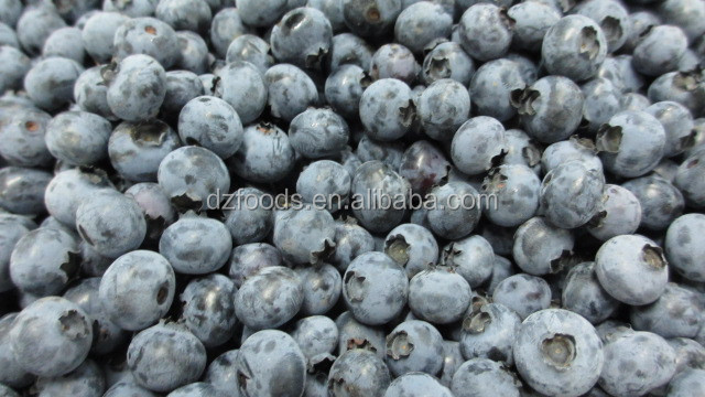 blueberry sorting machine
