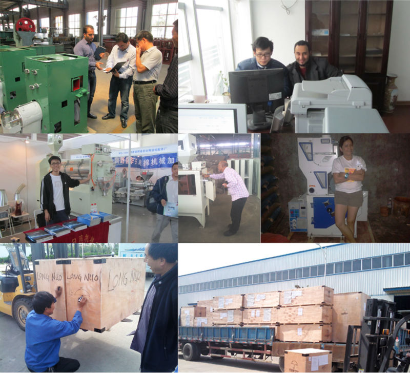 MNMLt series vertical type rice machine with iron roller