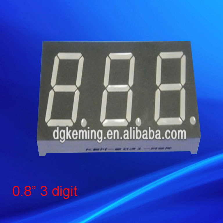 8031.jpg