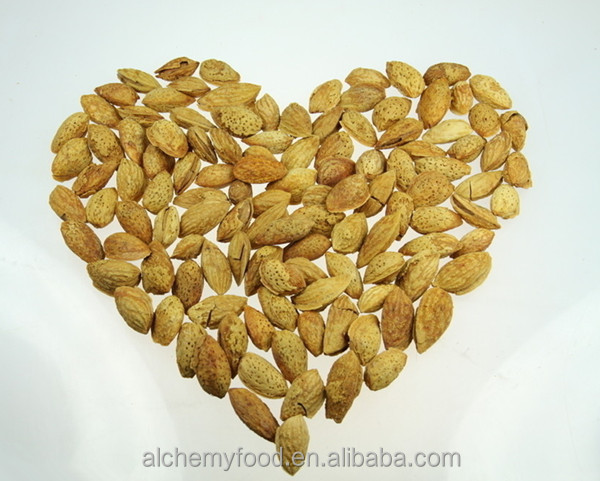 Chinese Raw Almonds Nuts for wholesale in bulk