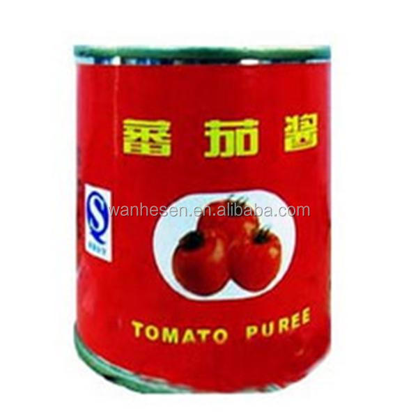 kosher food companies 800g canned tomato sauce supplier in china with good quality