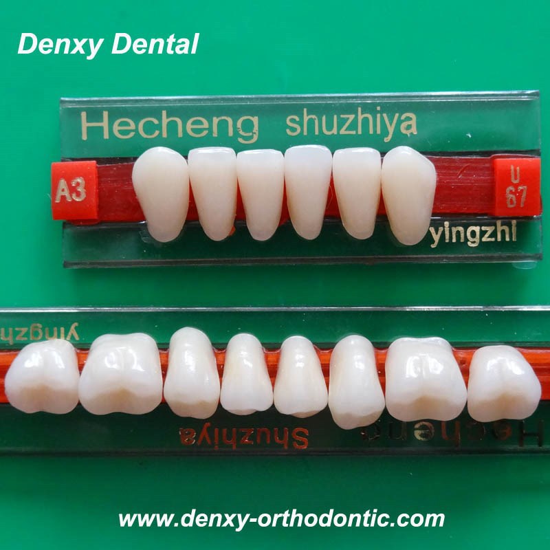 Factory Price Of Acrylic Teeth Shades /denture Teeth Shapes Synthetic