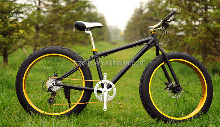 snow bike 2.jpg