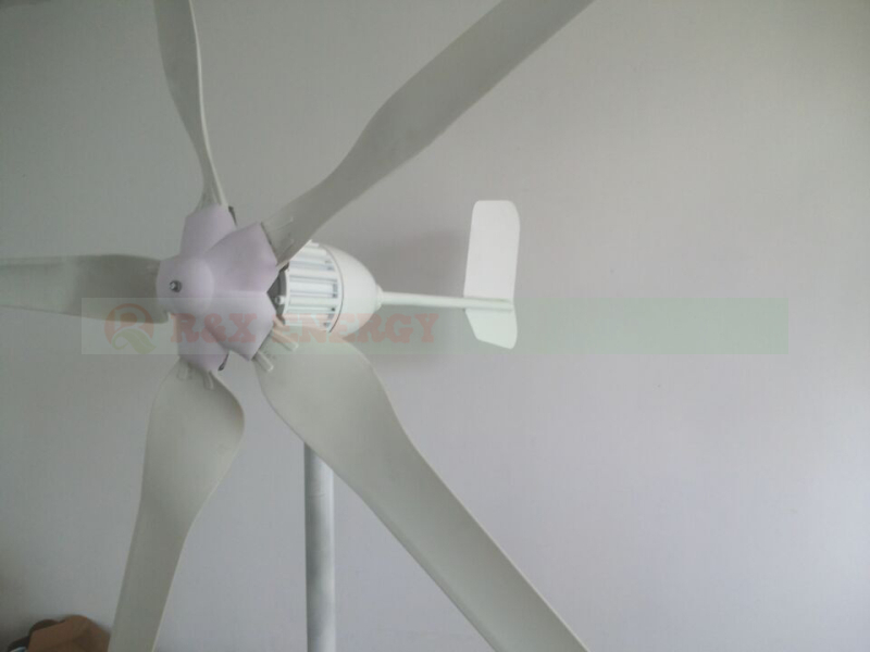SF-1000-5-2.jpg
