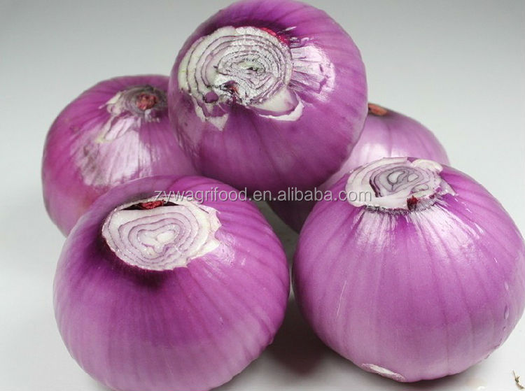 wholesale fresh red onion