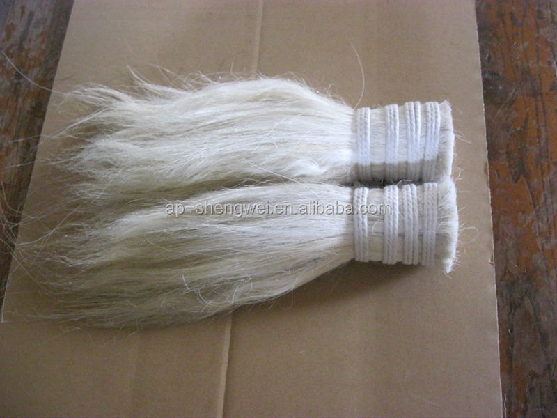 black horse mane mix PP