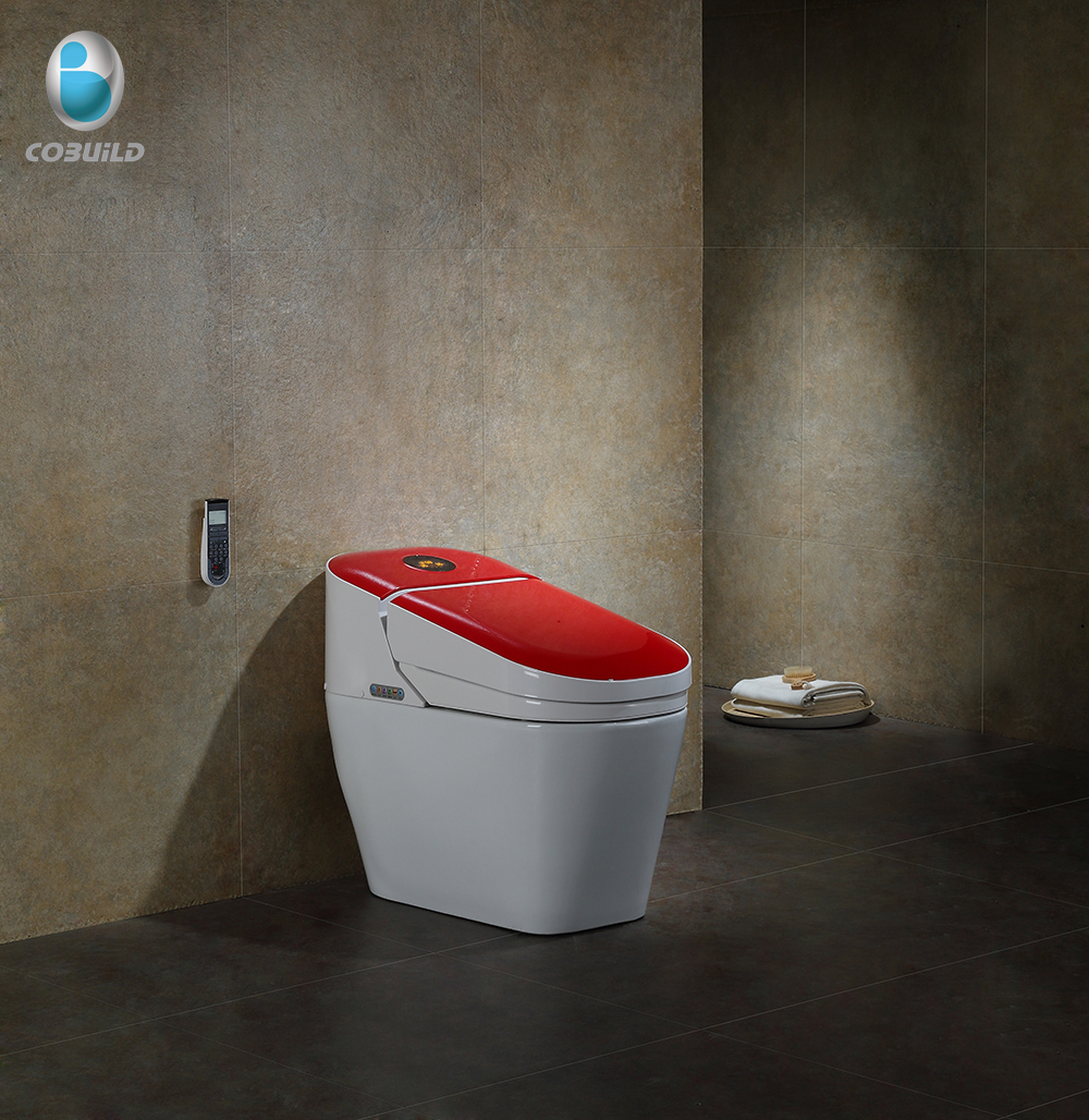 Ceramic Sanitary Ware Bidet Toilet Bowl Intelligent Upc Contemporary