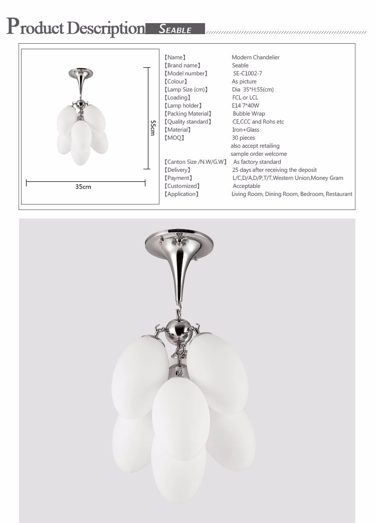 2--PRODUCT-DESCRIPTION_01.jpg