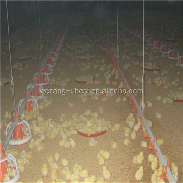 Tunnel ventilated broiler poultry house design