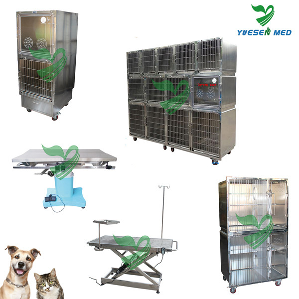 Top Sale Top Quality Low Price Medical Equipment For Veterinary Buy