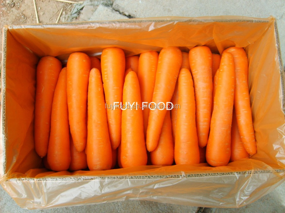 carrot.jpg